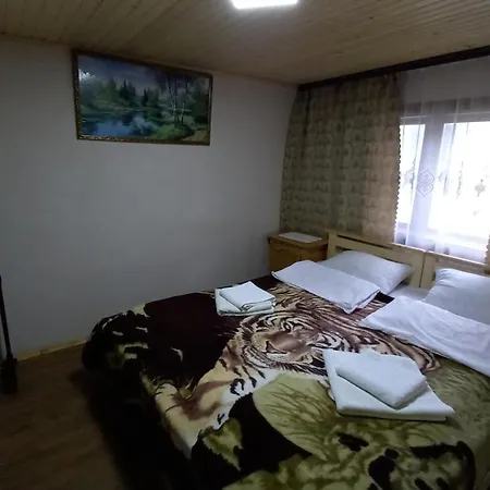 Будиночок Мойсейчуків Krivorovnya Room photo