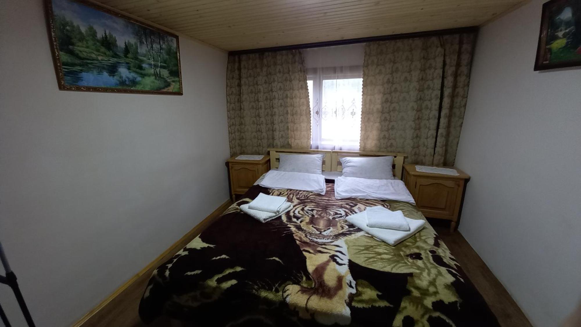 Apartment будиночок мойсейчуків Krivorovnya