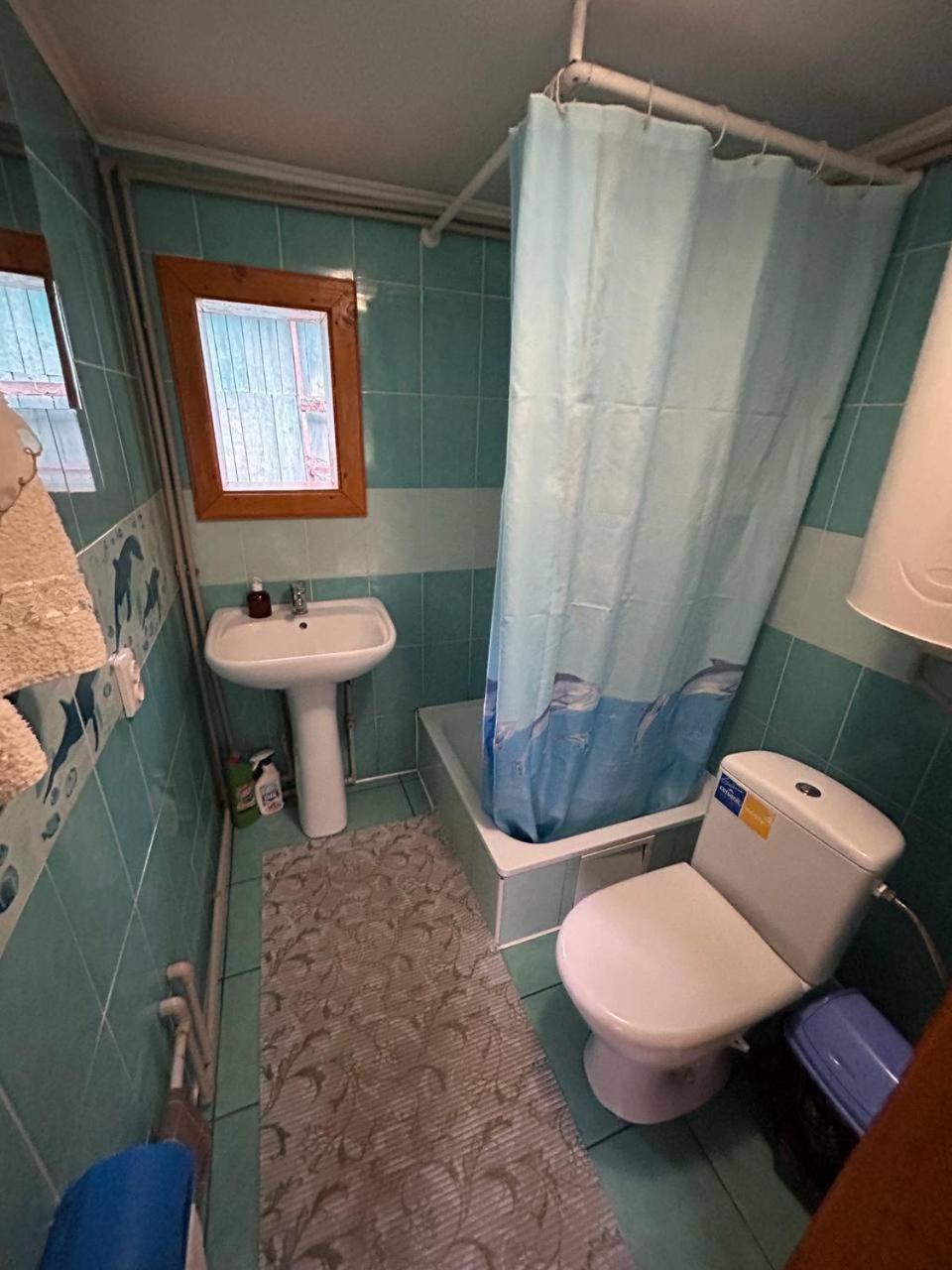 будиночок мойсейчуків Apartment Krivorovnya
